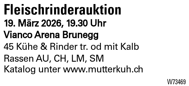 Fleischrinderauktion