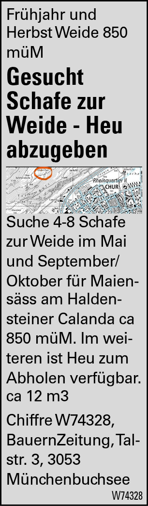 Gesucht Schafe zur Weide - Heu abzugeben